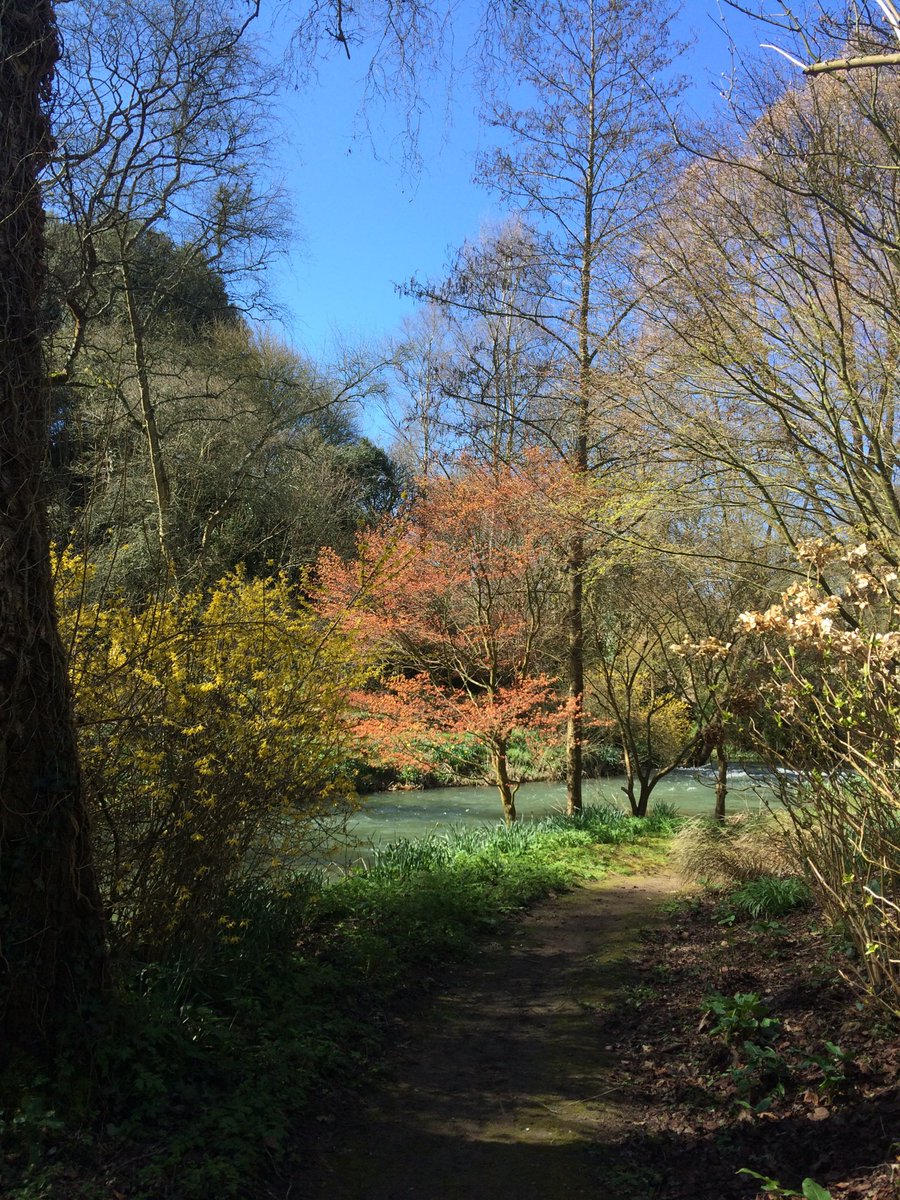 I love Abbey House Gardens in Malmesbury. #Wiltshire looks great in the sunshine today! #visitwiltshire