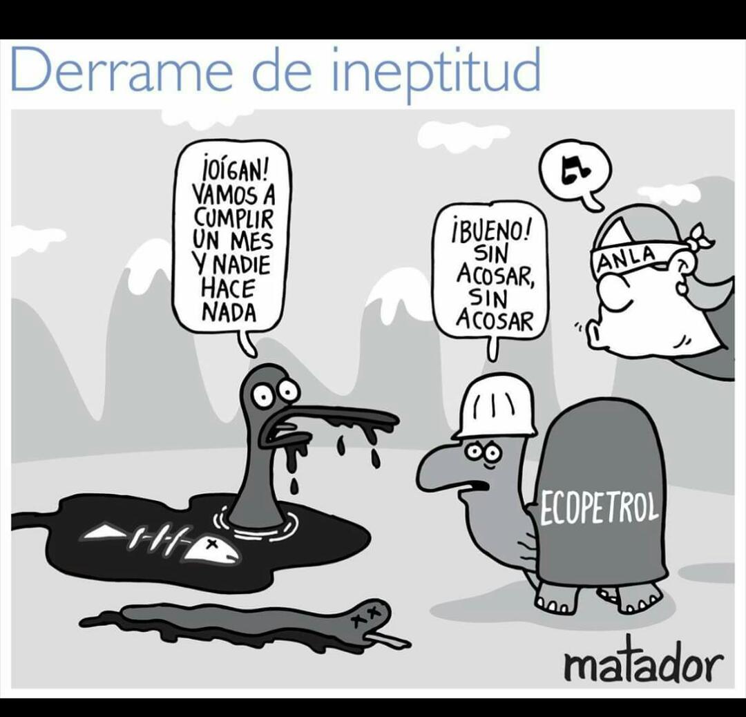 jotaubuntu's tweet photo. Porque los Jóvenes en Colombia no queremos quedarnos de brazos cruzados mientras la fauna y la flora se viste de petróleo.
@MinAmbienteCo 
@inst_humboldt 
@ECOPETROL_SA

 #ColombiaDiceNoAlFracking
(Caricatura: @matadoreltiempo) https://t.co/ajAiEAUWa3