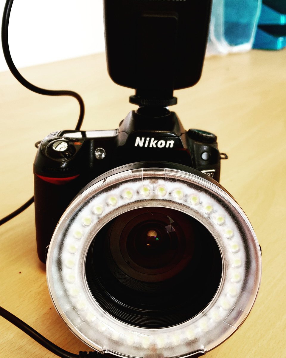 EndgamePhoto's tweet photo. New Toy!! #macrolight #Nikon #endgame #photography https://t.co/xCWxCCvbxM