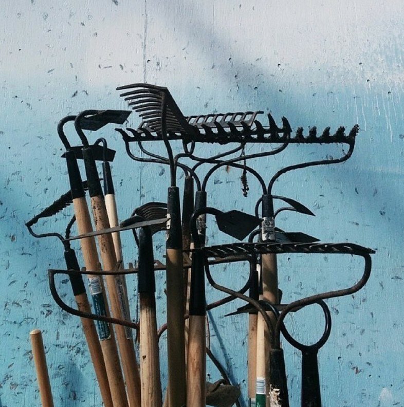 Merci_Raymond's tweet image. Les seules armes dont l’humanité a besoin ! 👨‍🌾🌿👊 #Gardener