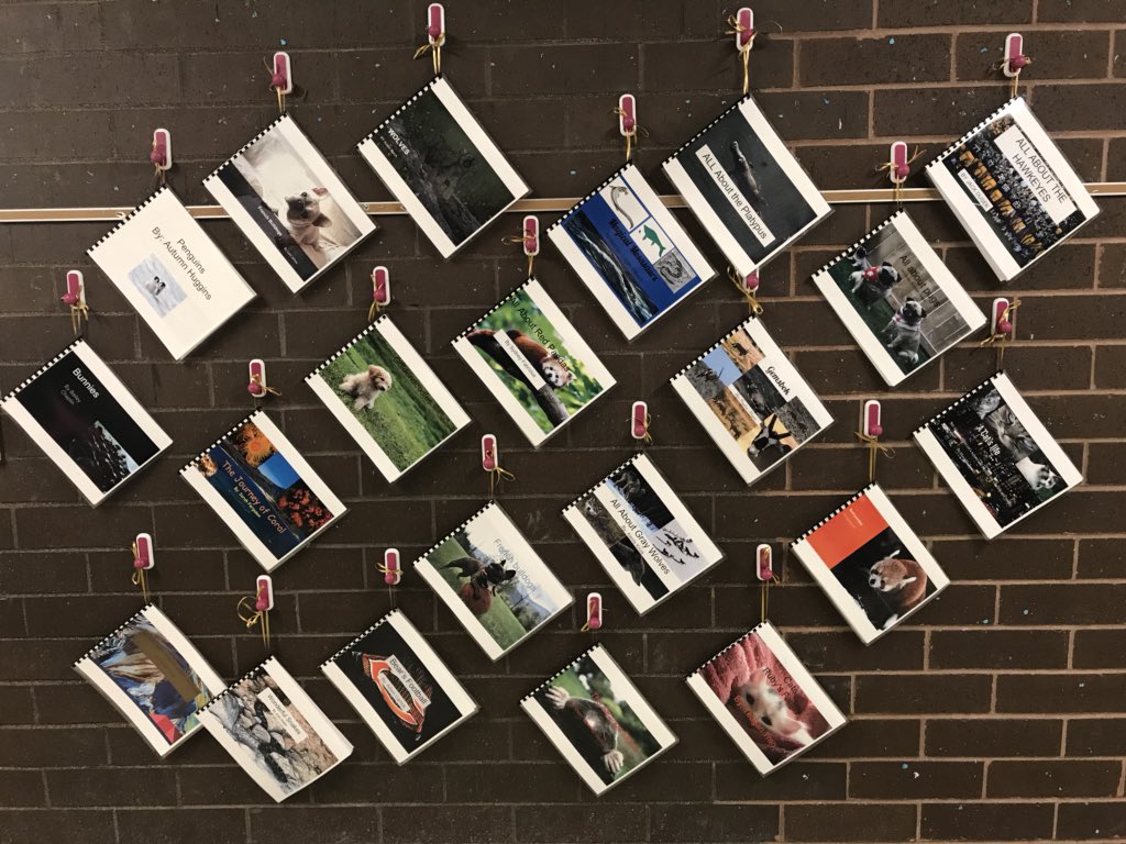 3rd Graders at South Elementary School - Sycamore, IL - going public after publishing nonfiction pieces! Congrats to all of our authors!! <a href="/Schoolwide/">Schoolwide Inc</a>