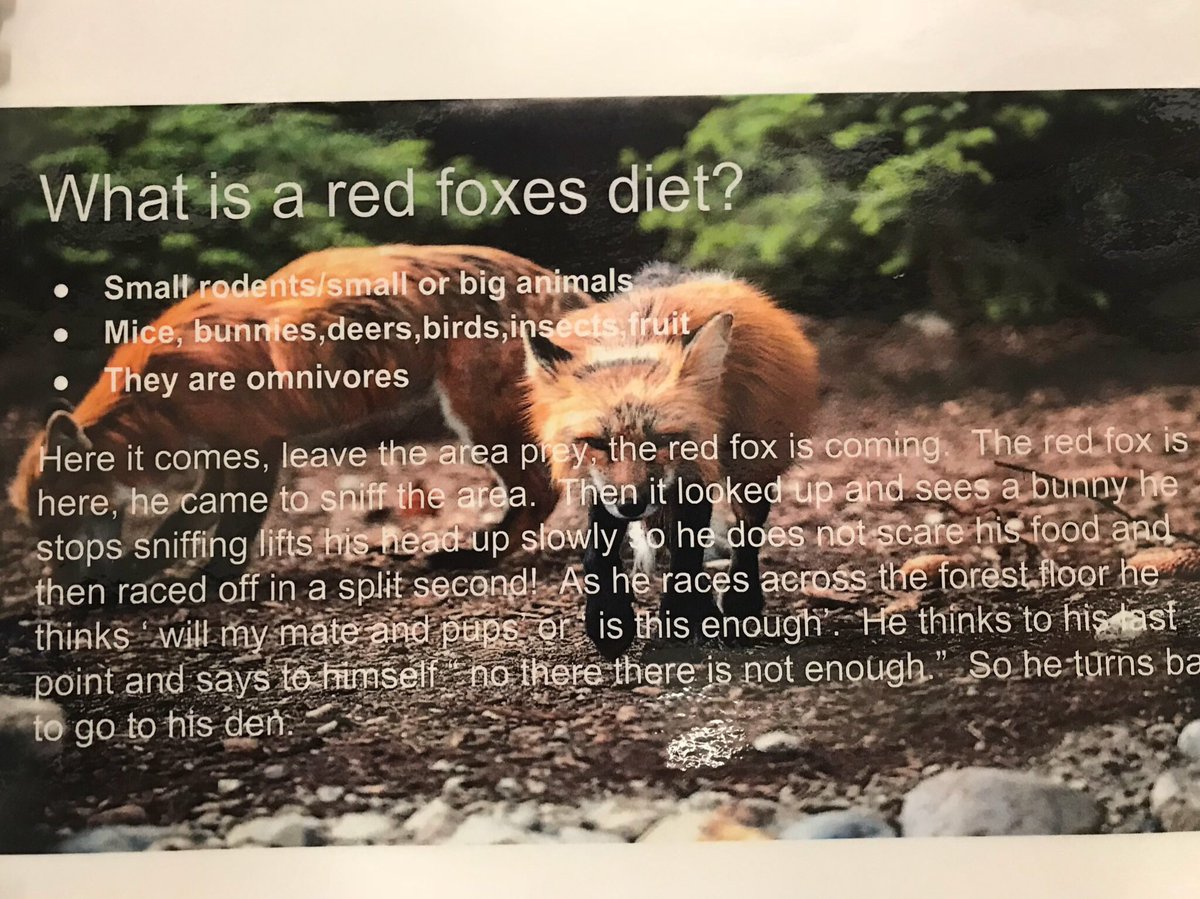 A glimpse inside the Nonfiction writing of 3rd Graders at South Elementary - Sycamore, IL. <a href="/Schoolwide/">Schoolwide Inc</a>