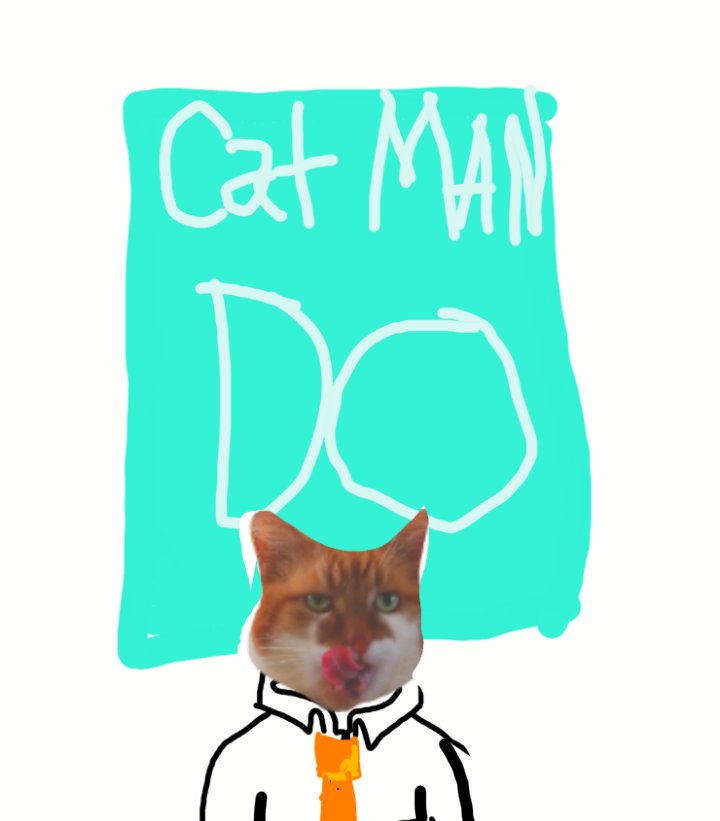PhilpStephen's tweet photo. New project starting really soon #new #see #look #cat https://t.co/Pt3oiVov4j