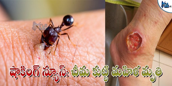 teluguinnews's tweet photo. షాకింగ్ న్యూస్ : చీమ కుట్టి మహిళా మృతి..see more.,
https://t.co/gfybqMGCeQ
#dubai #riyadhmassage #brutaldeath #suddendeath #ShockingRead #antbite https://t.co/TBfAkRUgfU