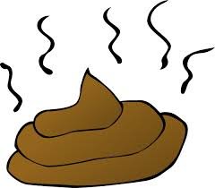 TaylorBurden15's tweet photo. Animal waste often serves as fertilizer on farms, but it also has a lot of chemicals, disease-causing organisms, and odors that can be unpleasant or harmful #RHSBMS https://t.co/mLeafcYms0