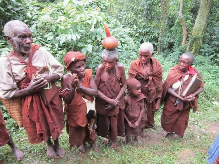 Safe Tours And Travel Uganda (safe_uganda) Twitter