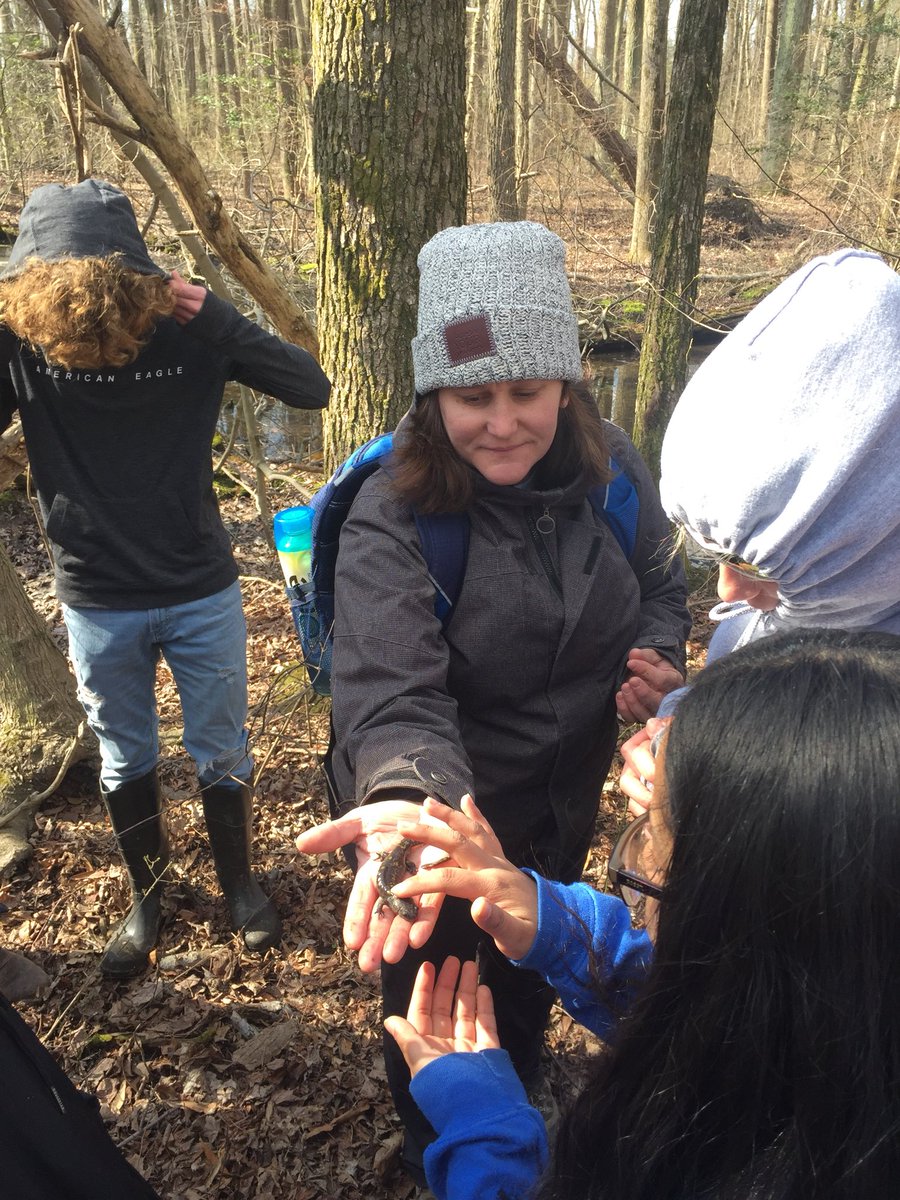 budinger03's tweet photo. Found the spotted salamander hideout today with @SparrowsPointHS students at North Point State Park. @BCPSOutdoorSci https://t.co/PKgqCroZ4Q