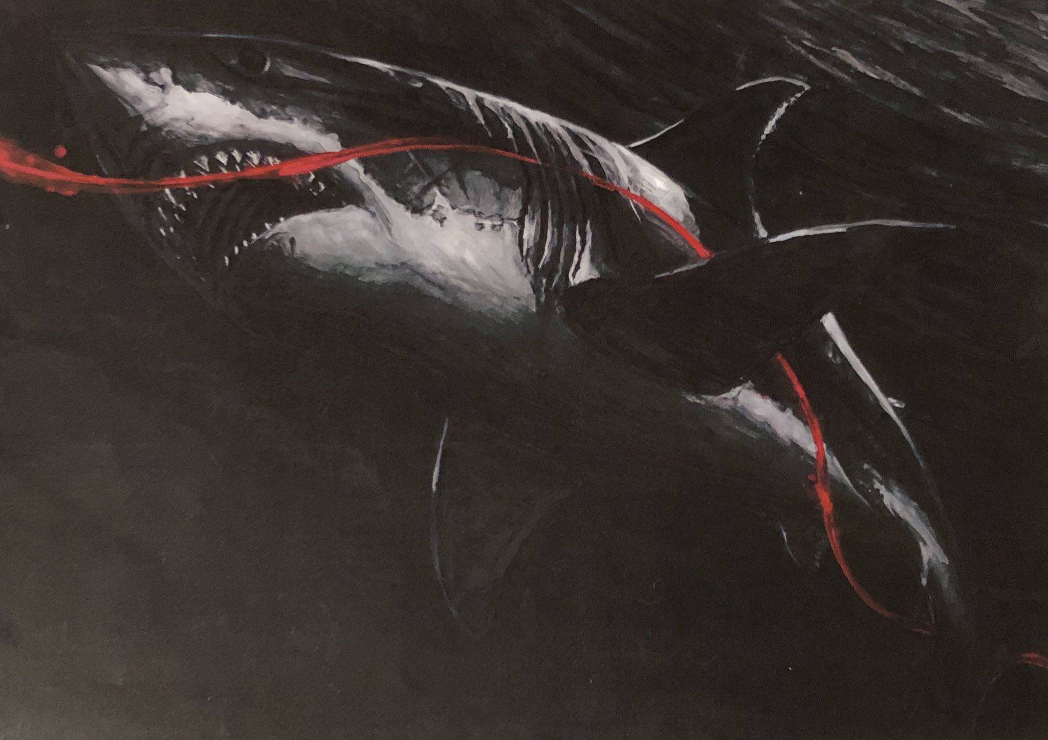 かっこいい リアル ジョーズ サメ イラスト 21年の壁紙画像 Fhd