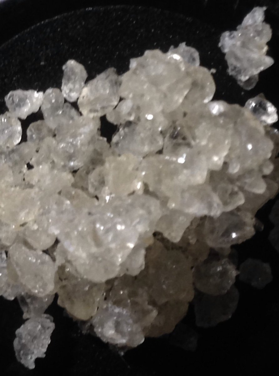SkunkbeardGenet's tweet photo. #skunkbeardgenetics #diamondextractauthority #diamondsinourfuture https://t.co/Ip81nE8z6C