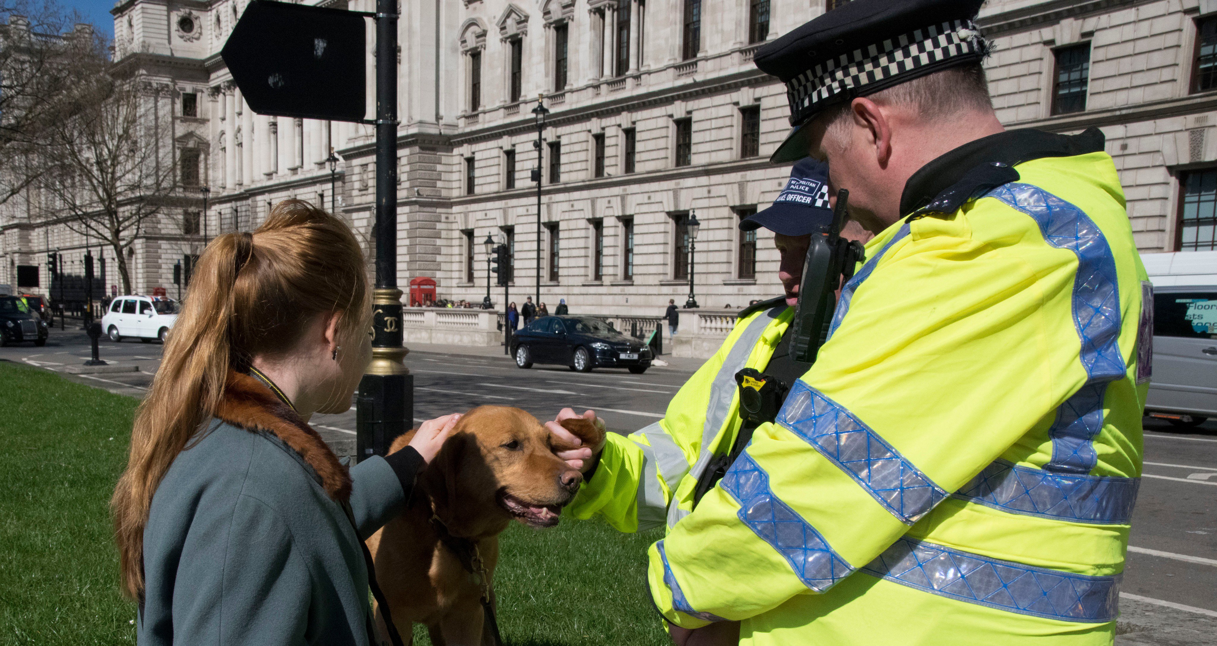Why Do Policemen Keep Dogs