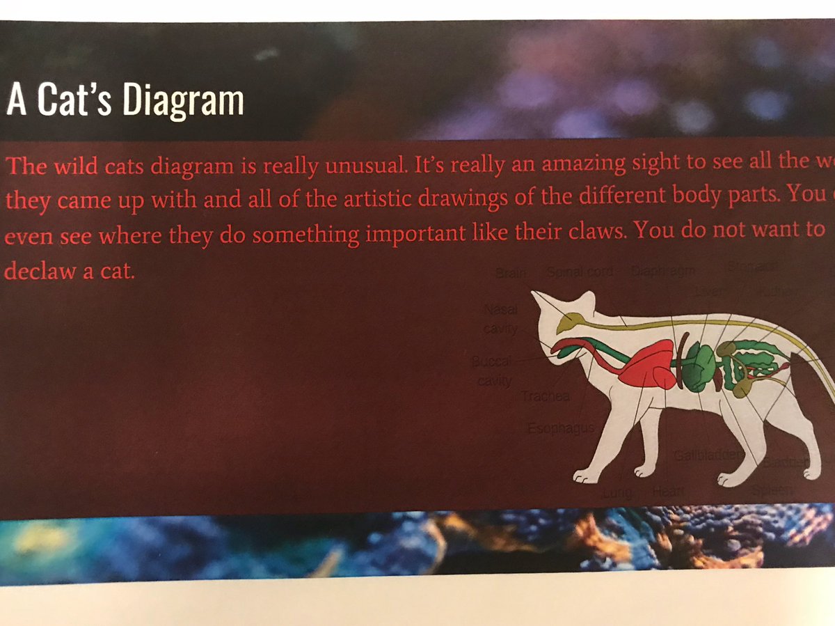 Look at those Nonfiction text features! <a href="/Schoolwide/">Schoolwide Inc</a>