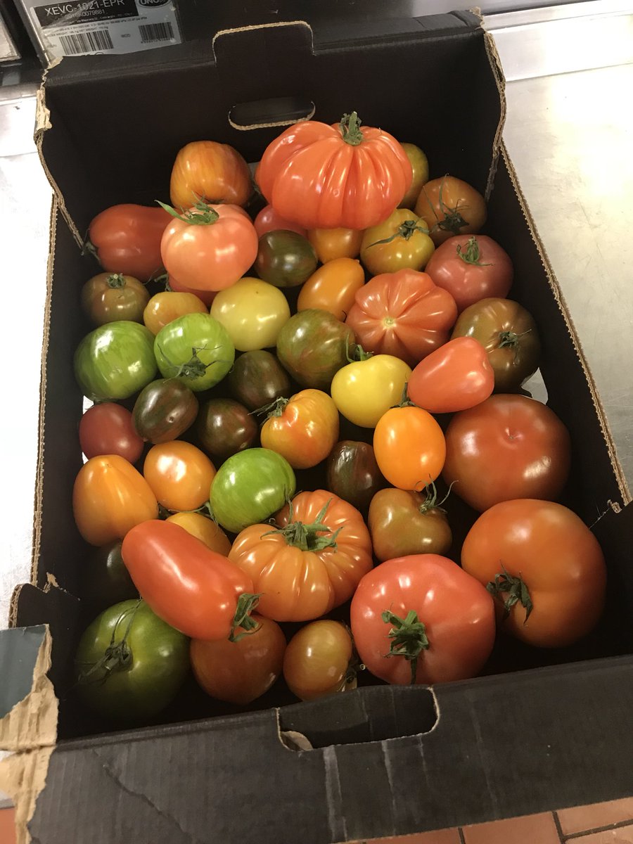 Yummy Heirloom tomatoes have arrived.. they’ll sitting with fresh tuna later #Foodie