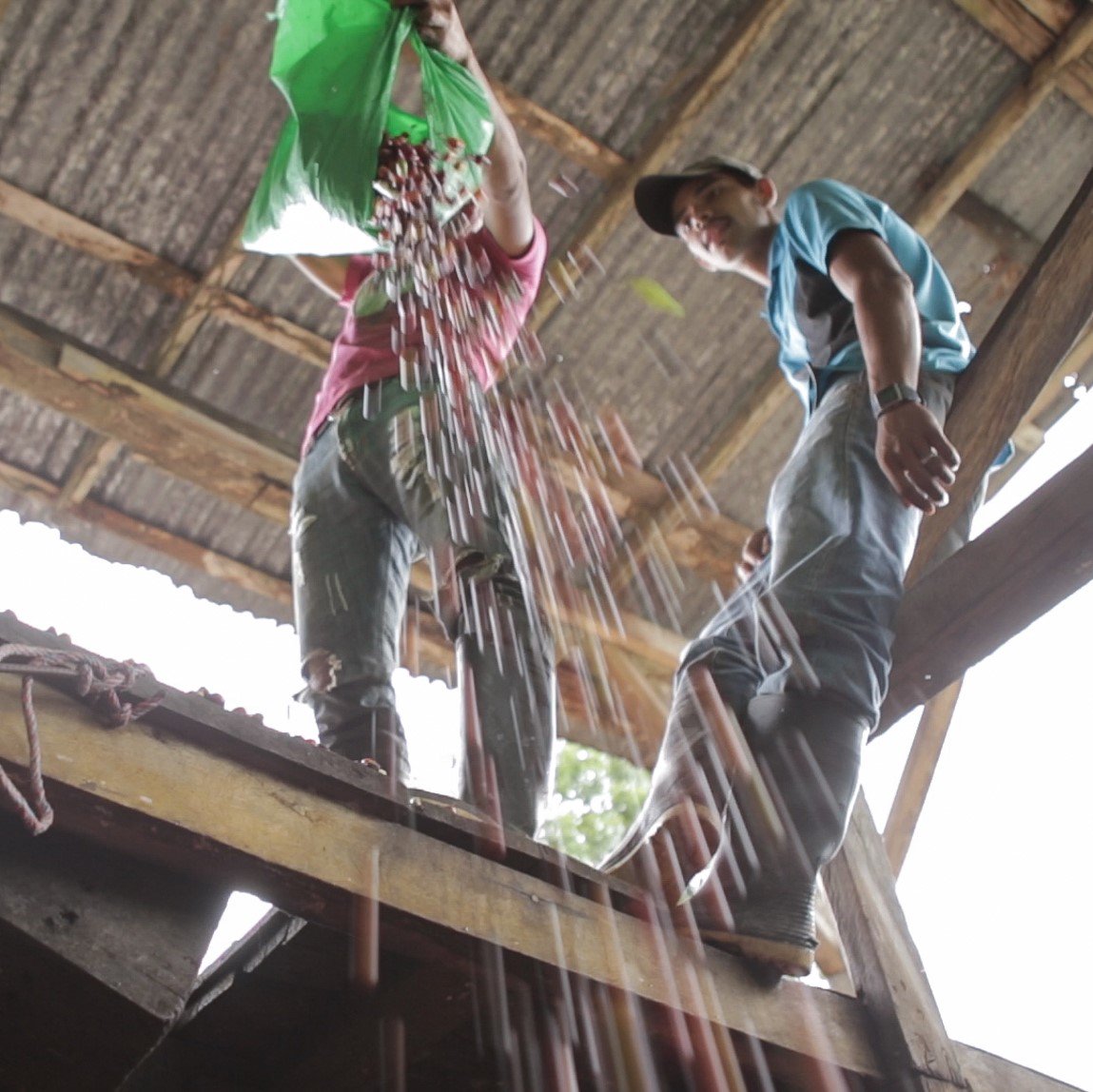 ThetaRidgeSB's tweet photo. Another photo from our partner farmer in Nicaragua π¬ https://t.co/Rbxgg8tdfg
.
.
.
#thetaridgecoffee #coffee #coffeeroasters #roasting #coffeeroaster #coffeeroasters #coffeeroast #coffeelovers #specialtycoffee #coffeeroastery #coffeehouse #fuelyourcoffee #coffeefestbaltimore https://t.co/SHI1iRSEgX