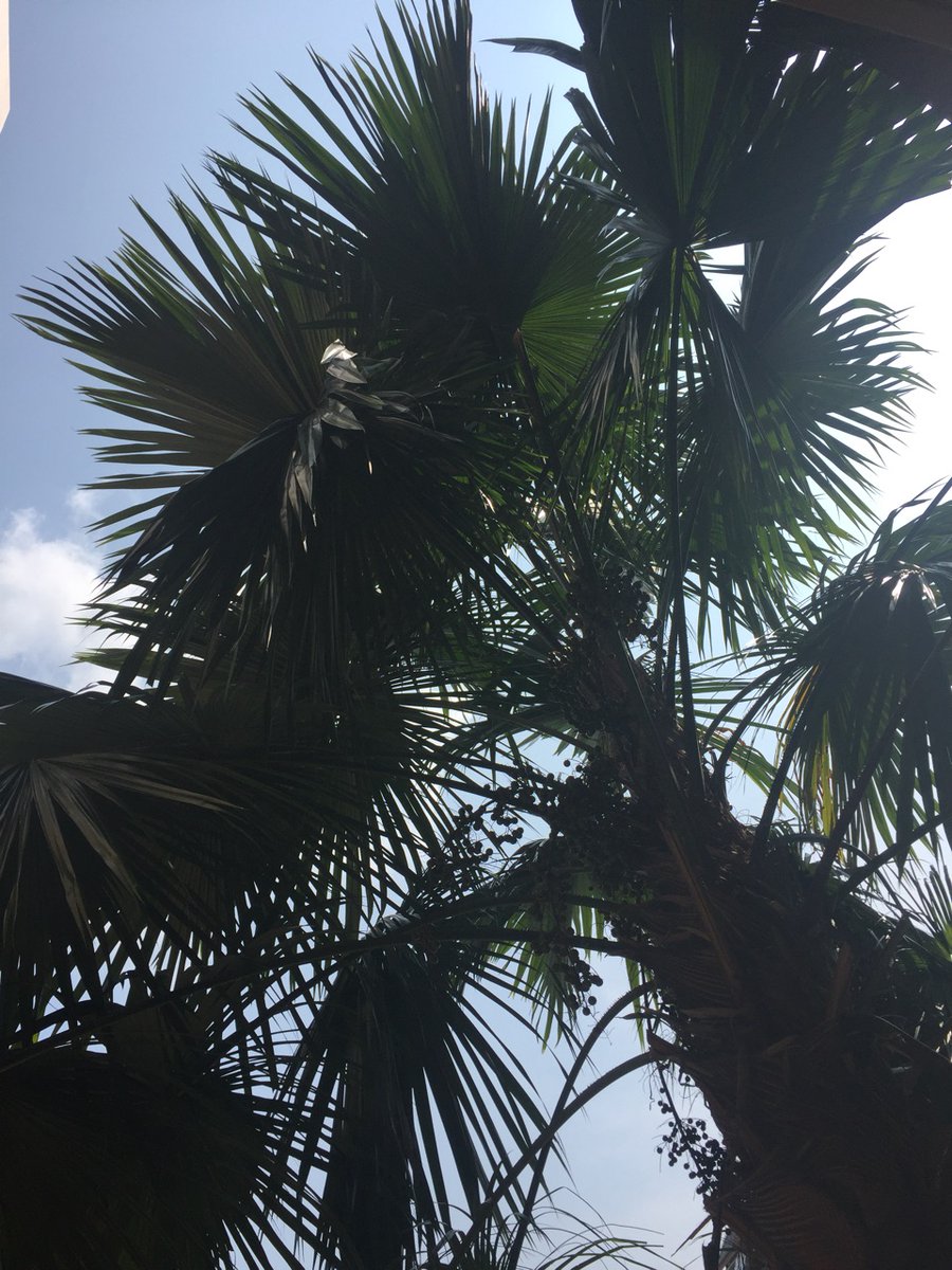 TheGCCGroup_'s tweet photo. We are in Phuket! The hot and nice weather keeps the event going smooth! #GCCEvent #Thailand #Phuket https://t.co/ozIyRdLjx0