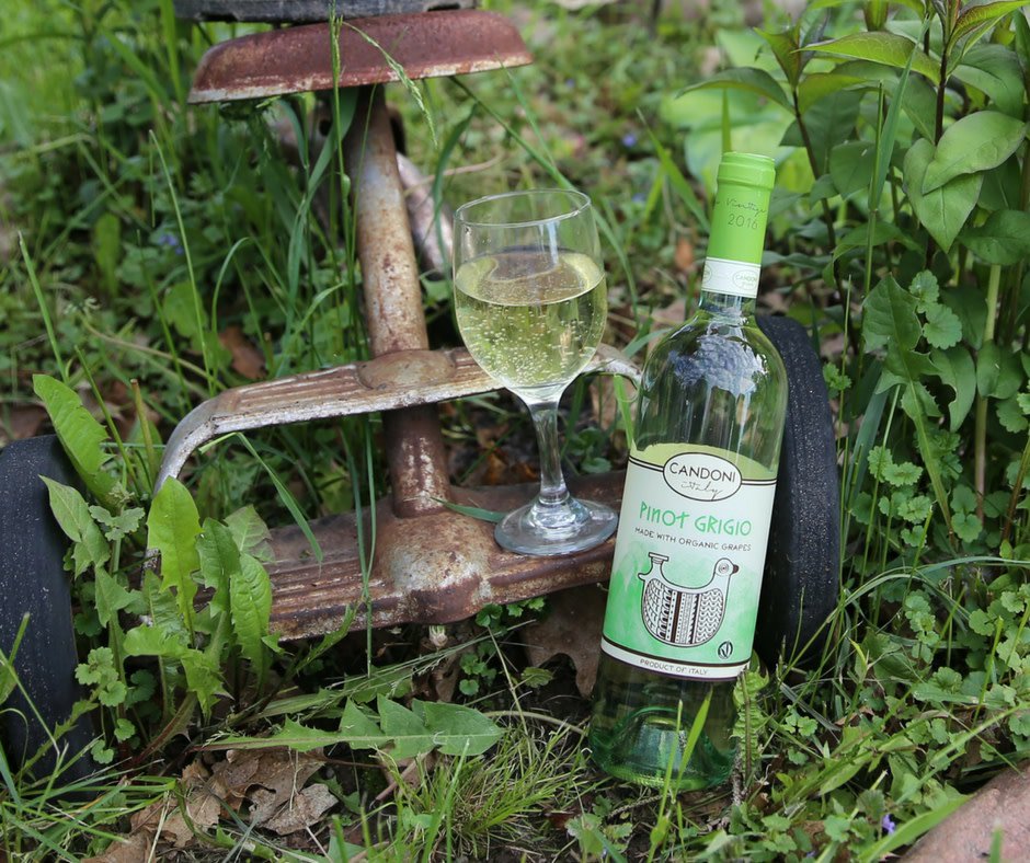 Candoni Wines tweet media