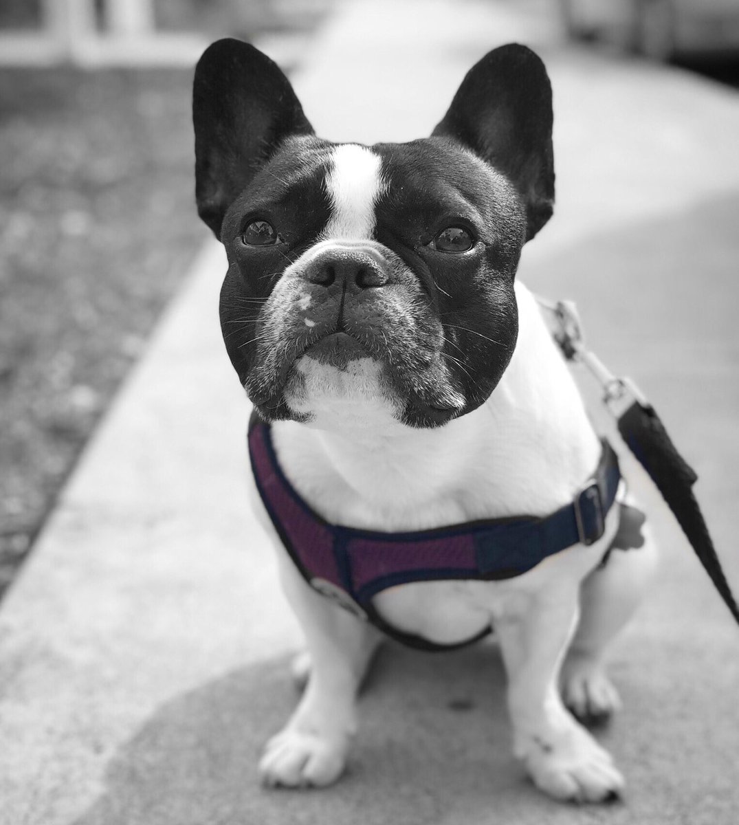 StellaTheBeBe's tweet photo. Who’s black &amp; white and hosting a huge giveaway? Me! REMEMBER - Any1 that enters the giveaway b4 we officially launch will be a guarantee WINNER!
LINK 2 ENTER 👉 https://t.co/Bz66BTOftd https://t.co/D0bKs6g0zx