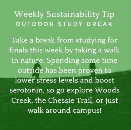 wlu_green's tweet photo. Take a study break and get outside! https://t.co/gJ2UWXXOd7