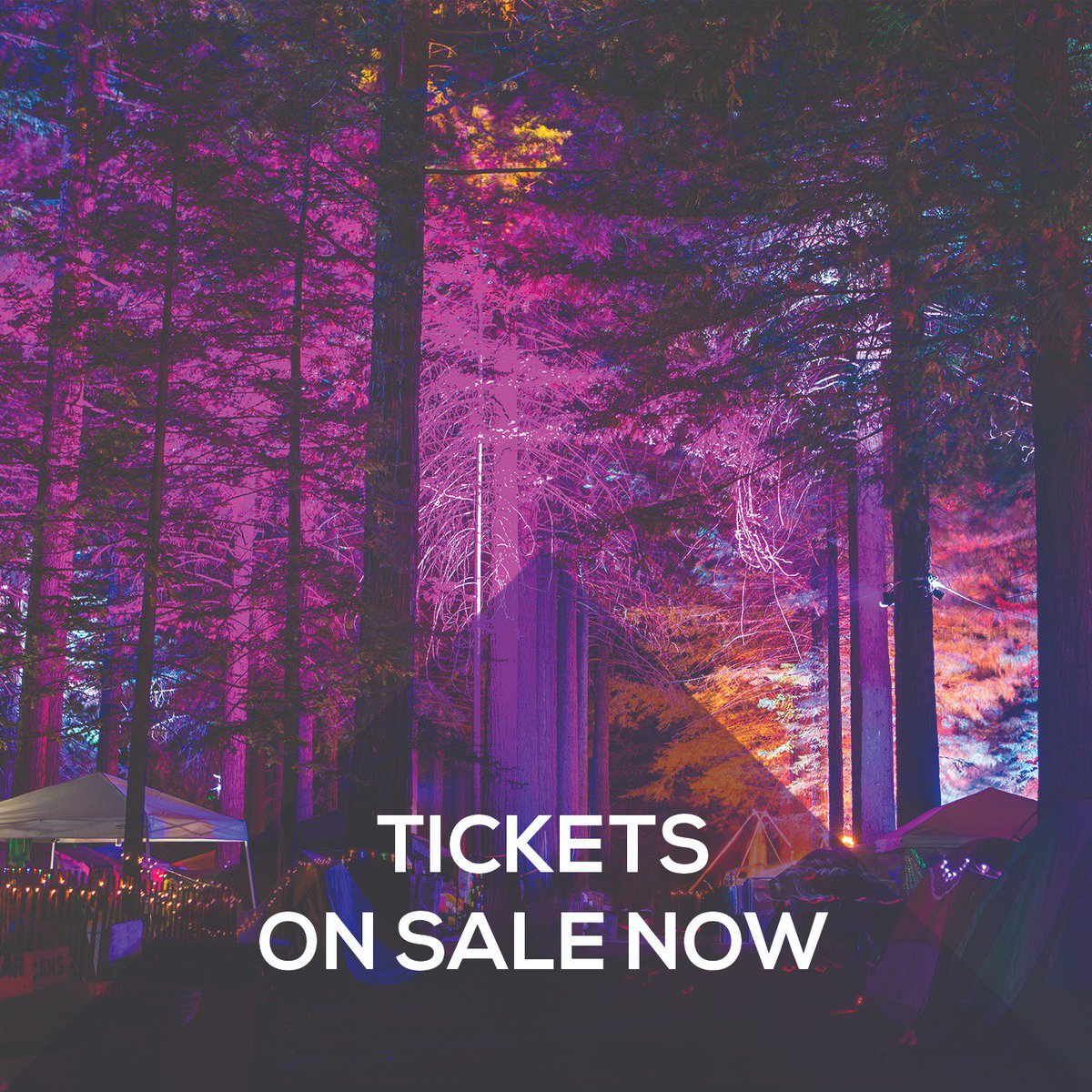 NNMFestival's tweet photo. ⏫Tickets ON SALE now!

Lock in the early bird price >> https://t.co/cBuEExu5y5 https://t.co/9QldCisJUC