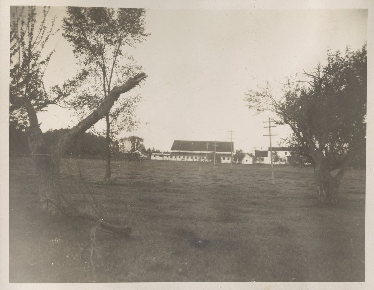 OhrstromLibrary's tweet photo. Cow barns at the Hill Farm - this photo is from 100 years ago when SPS had a dairy farm to provide milk and butter for the school. Many of these buildings are still standing and are used by Facilities. #ohrstromlibrarydigitalarchives #throwbackthursday #tbt #iamsps https://t.co/QjtD8XwI4L