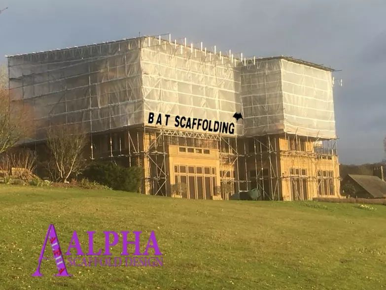 Scaffold2Design's tweet photo. https://t.co/GWupiISc8f https://t.co/nnXUV0JRW8