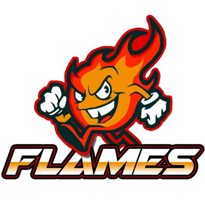 LBA_FLAMES's tweet photo. #NewProfilePic NEW TEAM BRANDING BY @russrebrands !!! 
#FLAMEON
@LegacyBB2k https://t.co/FZ2EJfM6g1