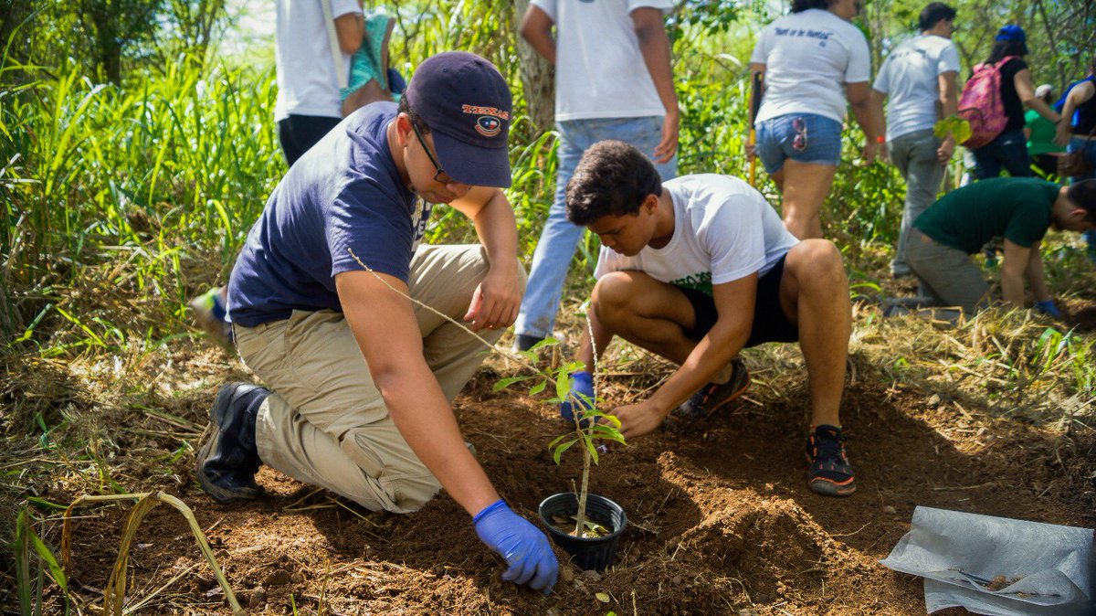 ReforestacionCo's tweet photo. Hoy jueves traemos este #TBT de los estudiantes que fueron con nosotros a la Laguna Cartagena para sembrar cientos de árboles. 

Estamos coordinando nuestra próxima reforestación para devolver especies endémicas a ecosistemas que María destruyó. 
#ReforestaciónComingSoon🌱🇵🇷 https://t.co/BaNcgh4ns1
