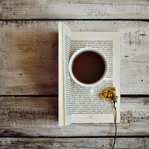 cheree_nero13's tweet photo. If I had to choose between nature and books , I'd read nature🌾🍃
Goodnight. https://t.co/ADPevUTi42