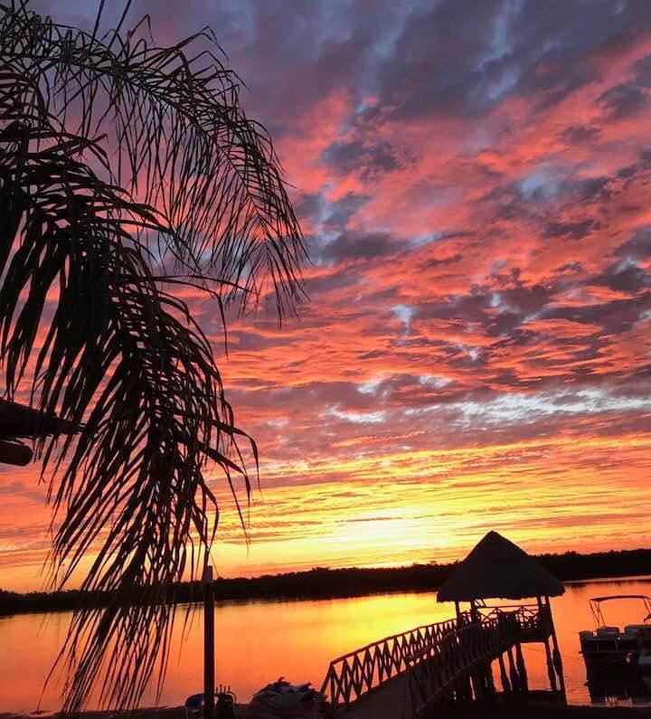 OlegarioMX's tweet photo. [Foto del día]

Maravilloso paisaje en El Tetuan, Navolato Sinaloa.

#fotodeldía #navolato #Sinaloa #paisaje #atardecer #playa
#photoart #sinaloastyle 

[Créditos: Dinorah Marquez] https://t.co/1ovFLN5di0