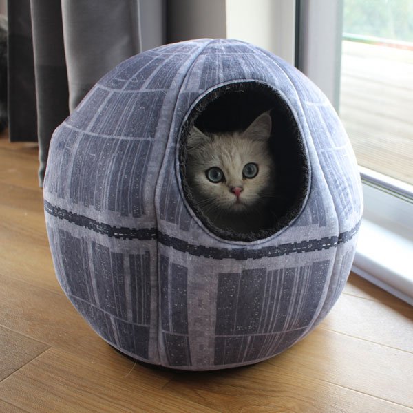 TheFowndry tweet media