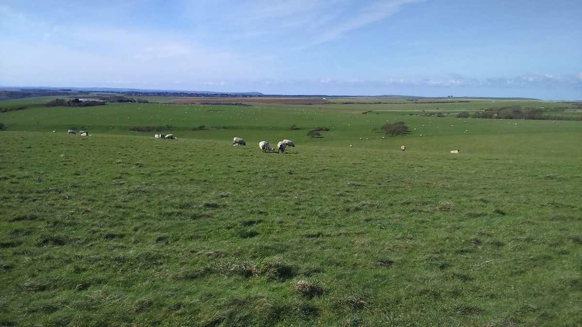 Birling Gap tweet media