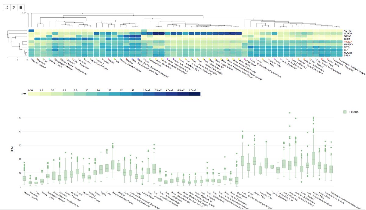 GTExPortal's tweet image. New Multi-Gene Query visualization shows expression of your selected genes across all GTEx tissues #GTEx bit.ly/2In5LlZ