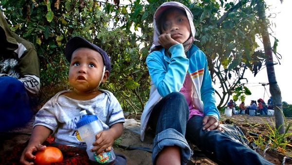 AlonsoRosasVeg1's tweet photo. Mexico's child labor has gone very wild and rough for these children , they are not only destroying their lives but their future as well , let's make new changes & thanks the authorities for finding these children. #Thankyou #helpthem #Moaut
https://t.co/v8Q9DTQc0a https://t.co/pSHTaY6shl