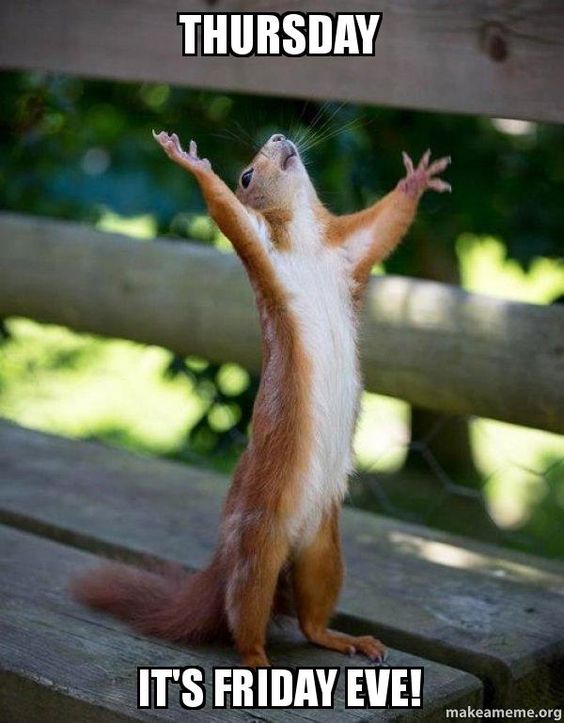 Guardian_WA's tweet photo. Happy #Thursday! Do you have any fun plans this weekend? #GuardianRoofing #GuardianHome #GuardianPestControl https://t.co/sl7Jq4Tfee