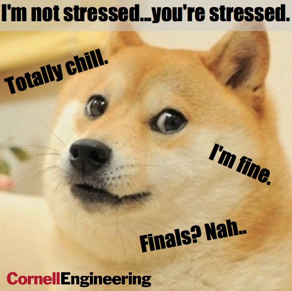 CornellEng's tweet photo. The only thing scarier than #FridayThe13th is when your realize the semester is almost over and your workload isn't even close to being done…. 😨 #CornellEngLife https://t.co/qnPrIFE2nh
