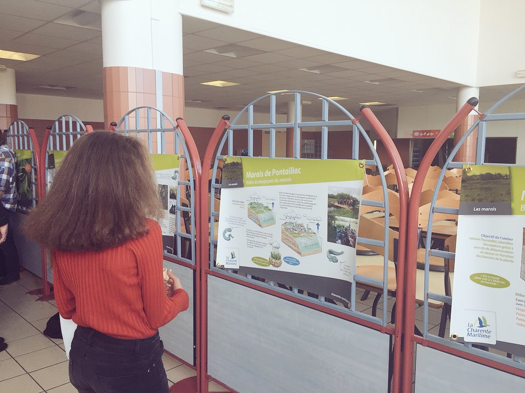 departement17's tweet photo. Cette #Expo a pour objectif de faire découvrir le marais de #Pontaillac aux collégiens et ainsi les faire contribuer à sa protection🌿☘️🦗🐍. #biodiversité #environnement #EspaceNaturelSensible https://t.co/MxPVoo2d53