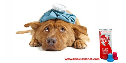 drinkLastShot's tweet photo. Don't let a night of howling at the Moon get you down... Take back the morning.

https://t.co/vOW703z5D5 https://t.co/4tpYQPuRqj