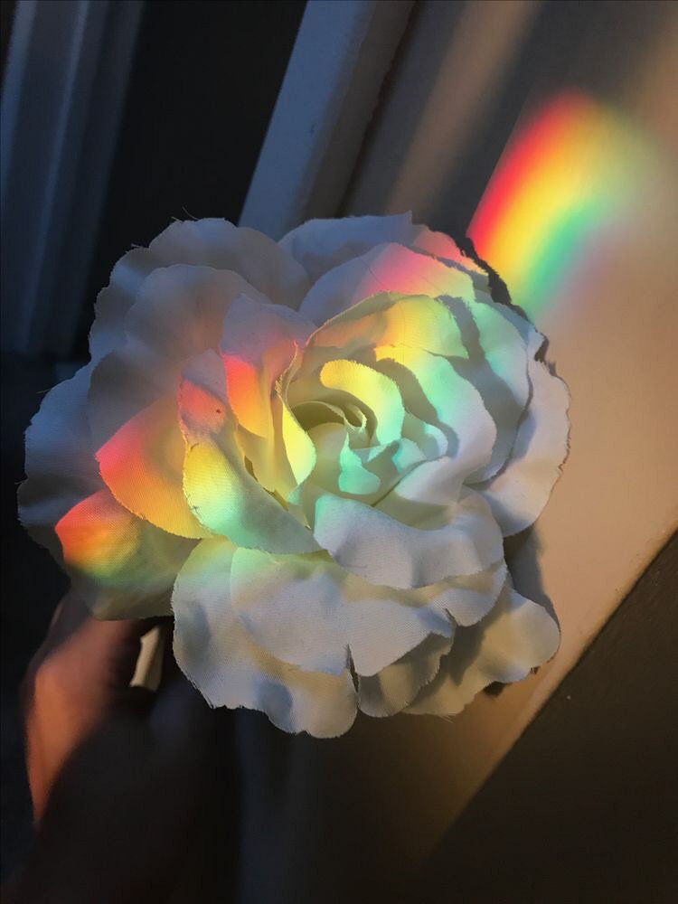 wallpaper_narak's tweet photo. Rainbow🌈

#เเจกวอล #วอลโฟน #วอลเปเปอร์มือถือ #วอลเปเปอร์สวยๆ #วอลเปเปอร์ไอโฟน https://t.co/jfJ77d3Zd3