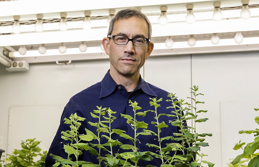 In an effort to address concerns about future food supply shortages, UC Berkeley scientists have discovered a protein that allows plants to grow with significantly less water.

dailycal.org/2018/03/08/uc-…
