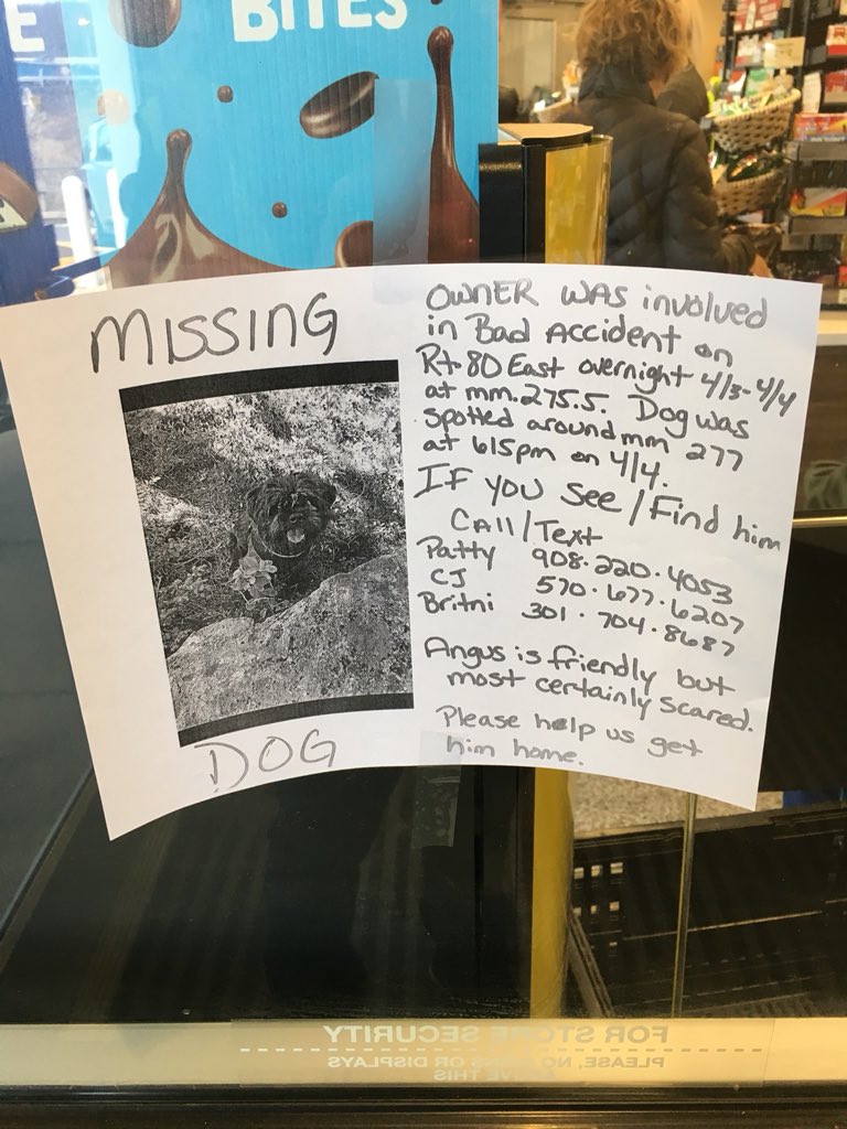chelseastrub's tweet photo. The search is on in Carbon County for Angus -- he and his owner were in a bad accident Tuesday night and he's been missing ever since. He was last spotted on Wednesday night along Route 80 eastbound near mile marker 277. @WNEP https://t.co/PPF5xNXVhl