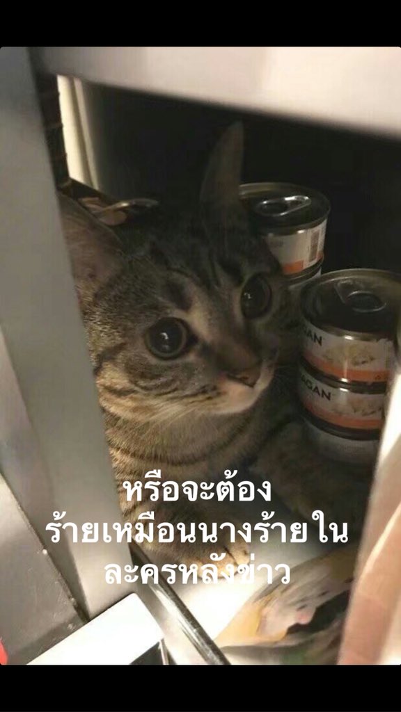 sep tweet media
