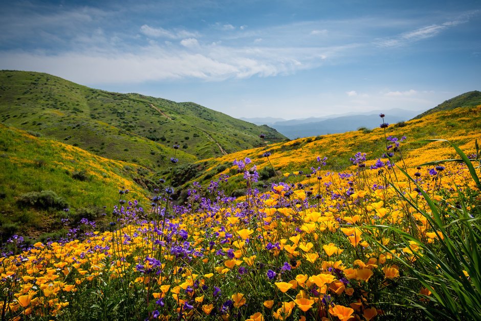 "The University of California Natural Reserve System has received a more than $2 million grant... Called the California Heartbeat Initiative, a team of scientists will monitor 10 native reserves across the state to track climate change."

govtech.com/data/Sensor-Dr…