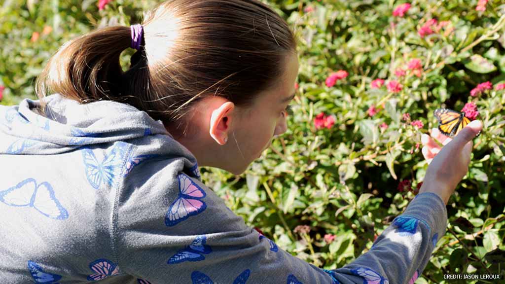 12-year-old Genevieve is a rockstar for monarchs! Her 2015 #ButterflyHeroes pledge spurred her into creating a citywide movement! She transformed her yard, cultivated & gave away milkweed & successfully urged her city to take the #MayorsMonarchPledge! bit.ly/2EnxArY