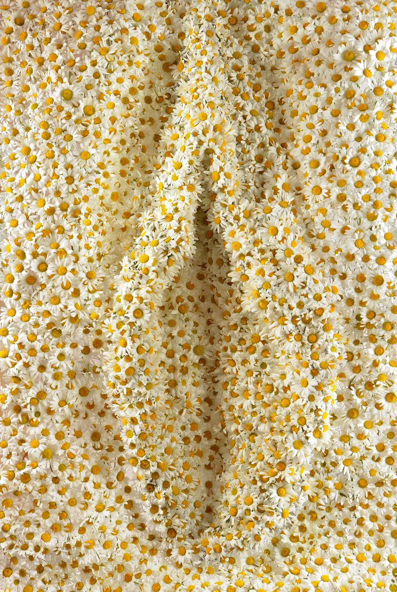 Bas_FairyLady's tweet photo. Flower power https://t.co/ZmD5SsKx26