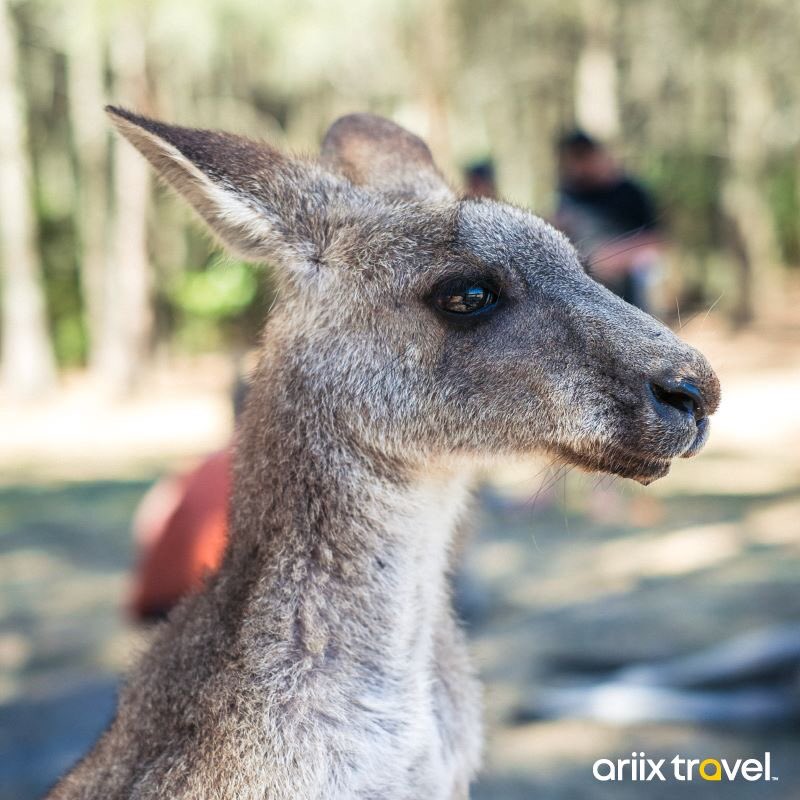 43% off Sydney! 🤩😍