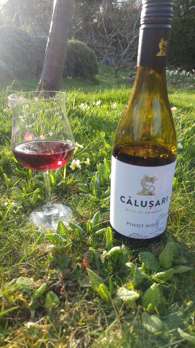 catswineblog's tweet image. Romanian pinot noir. Can't beat the quality for price #romania #pinotnoir #easydrinking #ThirstyThursdays