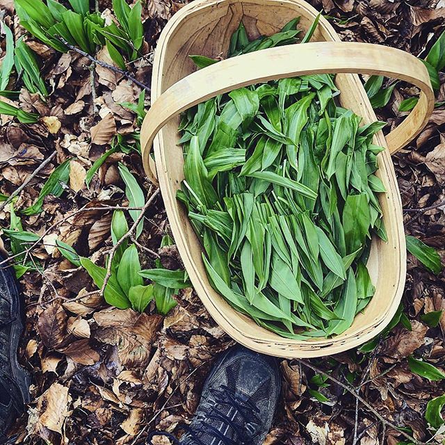 This photo from @nanna_langelund inspires me to get outside and enjoy the sights, sounds, and smells of nature.
⠀⠀⠀⠀⠀⠀⠀⠀⠀
🍃
⠀⠀⠀⠀⠀⠀⠀⠀⠀
What are some of your favorite things about taking a walk in th...

instagram.com/p/BhL6kjVHfl9/