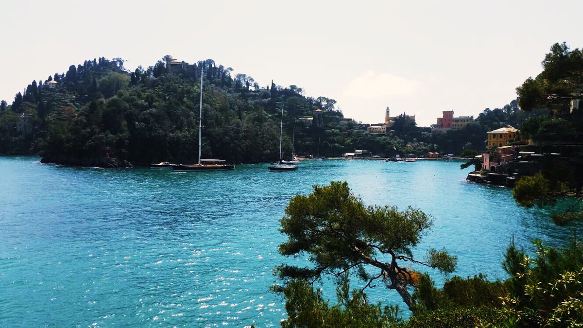 Pro Loco Monterosso Twitter