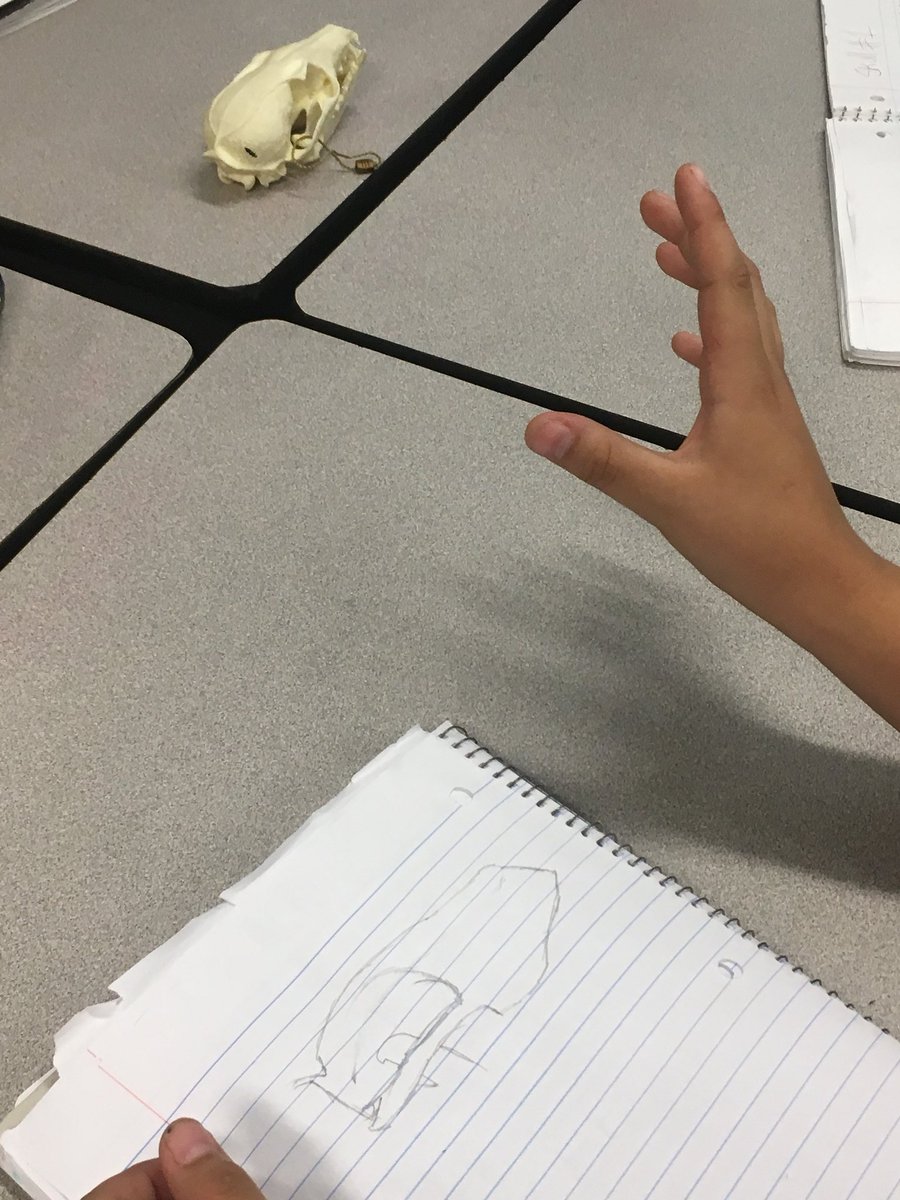 PowerofYet5's tweet photo. Investigating skulls. #goforthgreatness https://t.co/necIJzgsbD
