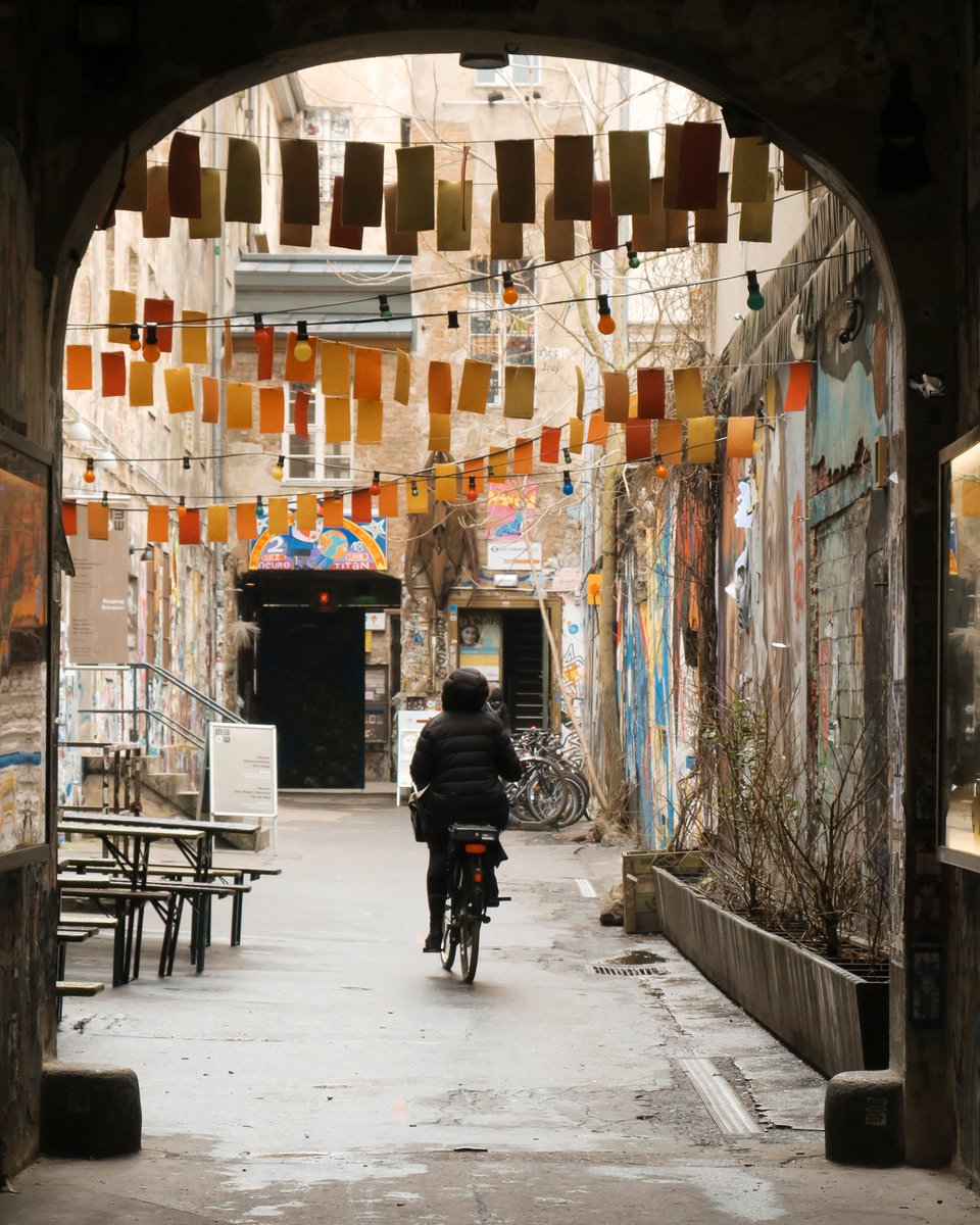 Loose Project tweet media