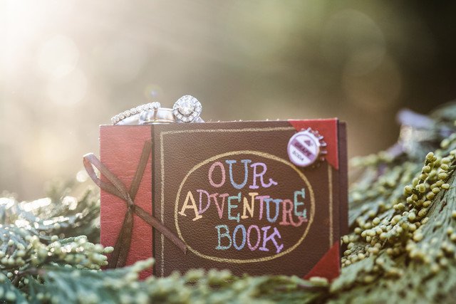 sabinescherer's tweet photo. Serious #Pixar fans! #proposalgoals https://t.co/0pW0Xwsx39